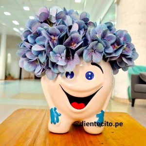D-2-Florero Dientecito